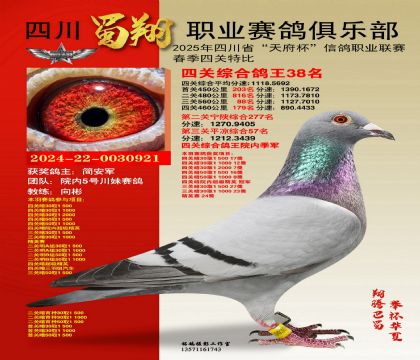 四川蜀翔四關(guān)鴿王38名