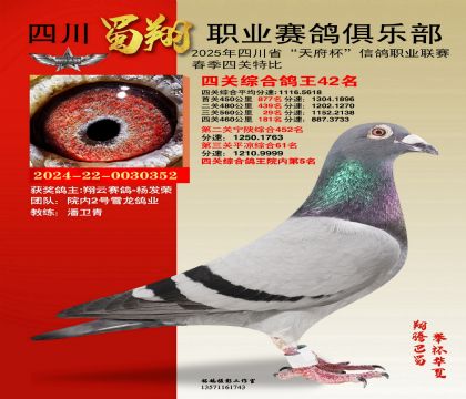 四川蜀翔四關(guān)鴿王42名