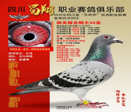 四川蜀翔四關(guān)鴿王44名
