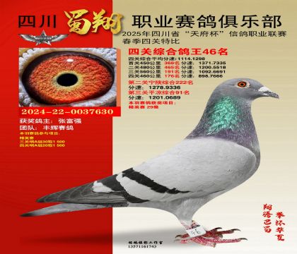 四川蜀翔四關(guān)鴿王46名