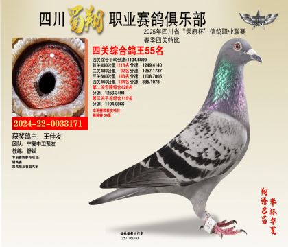 四川蜀翔四關(guān)鴿王55名