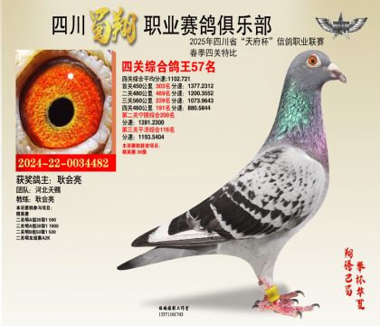 四川蜀翔四關(guān)鴿王57名
