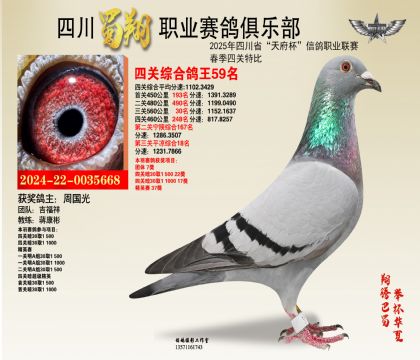 四川蜀翔四關(guān)鴿王59名