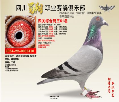 四川蜀翔四關(guān)鴿王61名