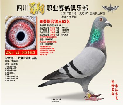四川蜀翔四關(guān)鴿王63名