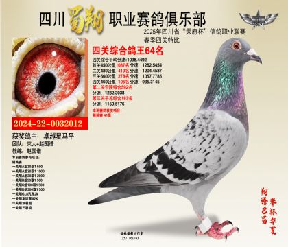 四川蜀翔四關(guān)鴿王64名