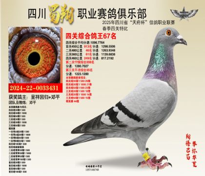 四川蜀翔四關(guān)鴿王67名