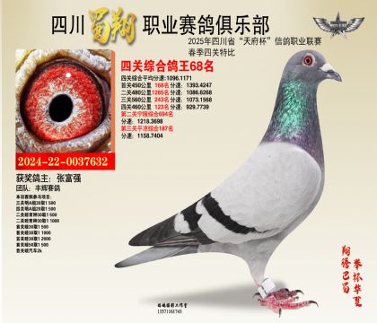四川蜀翔四關(guān)鴿王68名