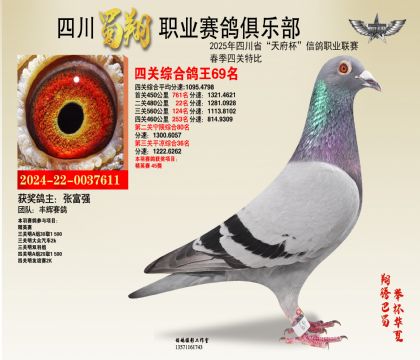 四川蜀翔四關(guān)鴿王69名