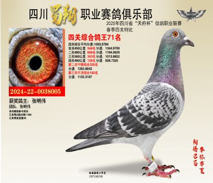 四川蜀翔四關(guān)鴿王71名