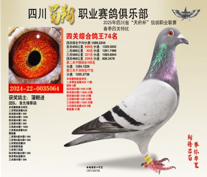 四川蜀翔四關(guān)鴿王74名