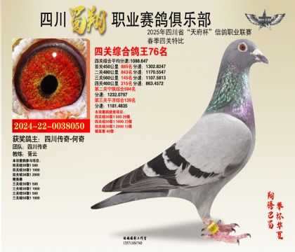 四川蜀翔四關(guān)鴿王76名