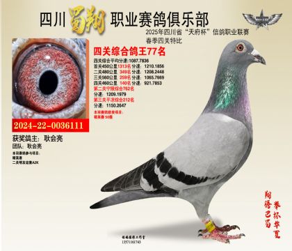 四川蜀翔四關(guān)鴿王77名