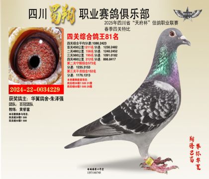 四川蜀翔四關(guān)鴿王81名