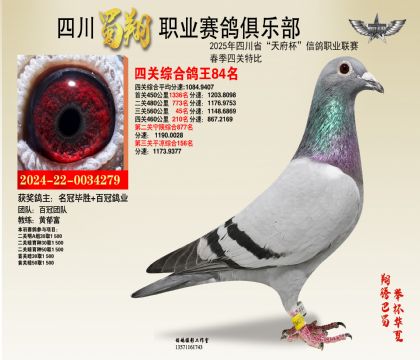 四川蜀翔四關(guān)鴿王84名