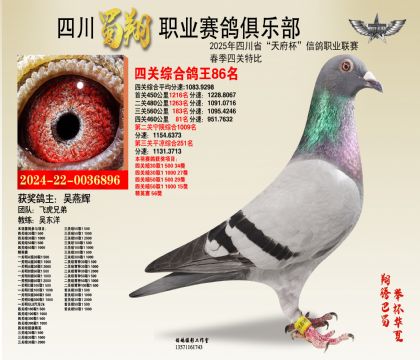 四川蜀翔四關(guān)鴿王86名