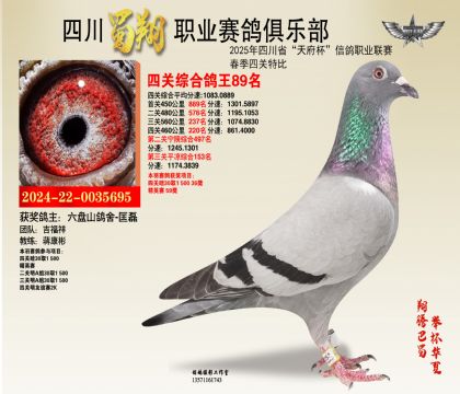四川蜀翔四關(guān)鴿王89名