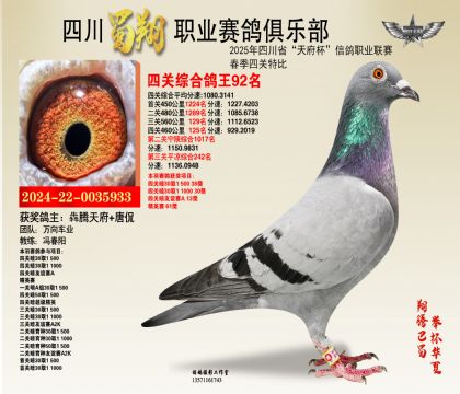 四川蜀翔四關(guān)鴿王92名