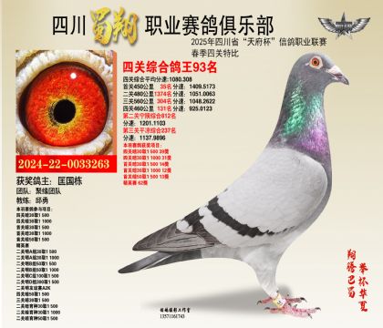 四川蜀翔四關(guān)鴿王93名