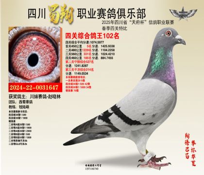 四川蜀翔四關(guān)鴿王102名