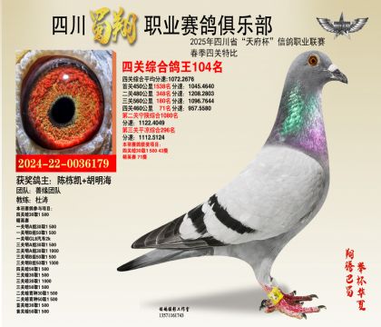 四川蜀翔四關(guān)鴿王104名