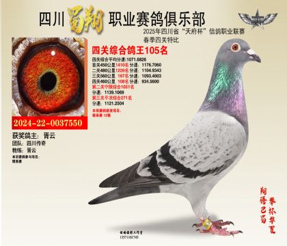 四川蜀翔四關(guān)鴿王105名