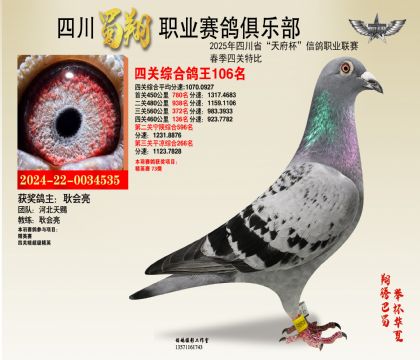 四川蜀翔四關(guān)鴿王106名