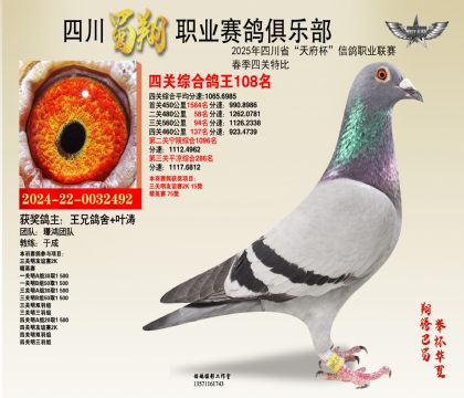 四川蜀翔四關(guān)鴿王108名