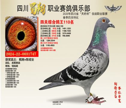 四川蜀翔四關(guān)鴿王110名