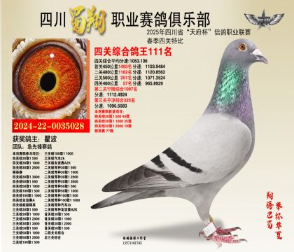 四川蜀翔四關(guān)鴿王111名