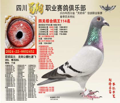 四川蜀翔四關(guān)鴿王114名