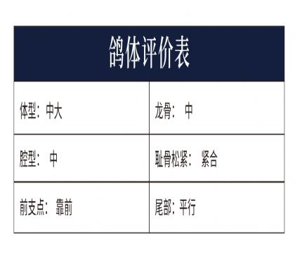 0808268yu