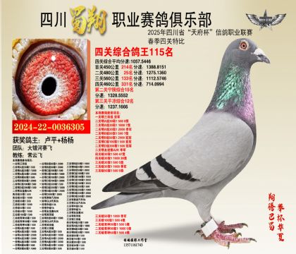 四川蜀翔四關(guān)鴿王115名