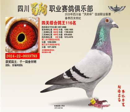 四川蜀翔四關(guān)鴿王116名