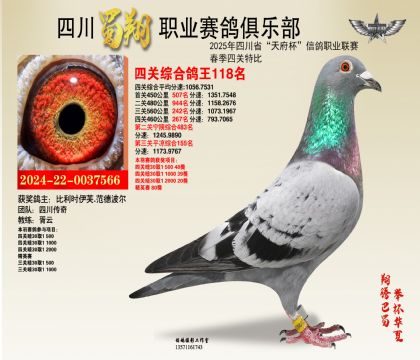 四川蜀翔四關(guān)鴿王118名