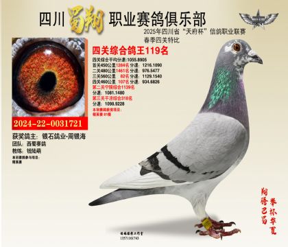 四川蜀翔四關(guān)鴿王119名