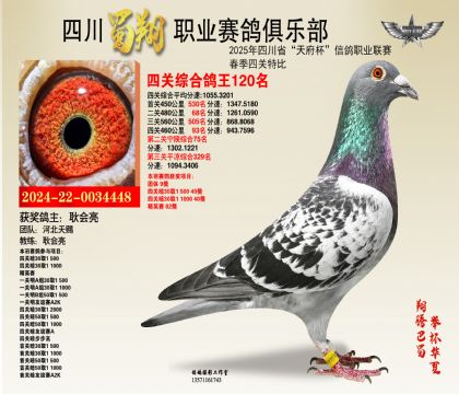 四川蜀翔四關(guān)鴿王120名