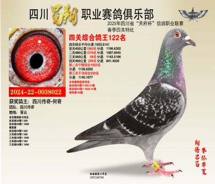 四川蜀翔四關(guān)鴿王122名