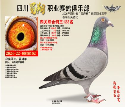 四川蜀翔四關(guān)鴿王123名