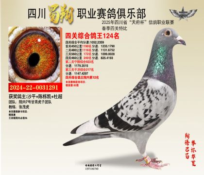 四川蜀翔四關(guān)鴿王124名