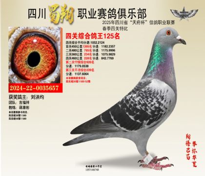 四川蜀翔四關(guān)鴿王125名