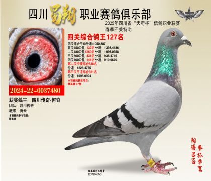四川蜀翔四關(guān)鴿王127名