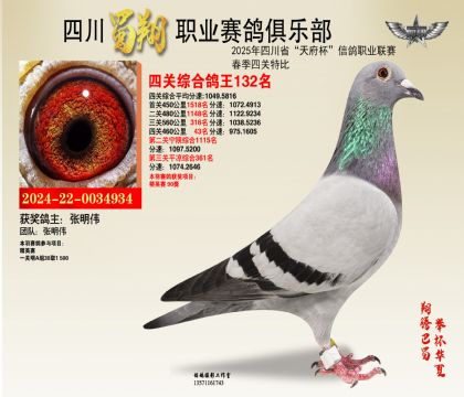 四川蜀翔四關(guān)鴿王132名