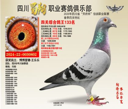 四川蜀翔四關(guān)鴿王133名