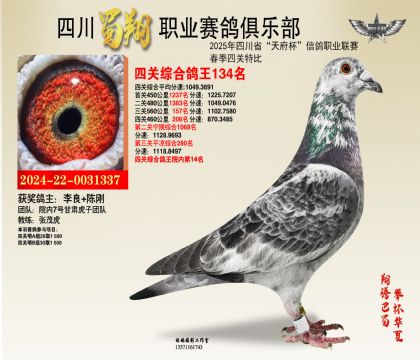 四川蜀翔四關(guān)鴿王134名