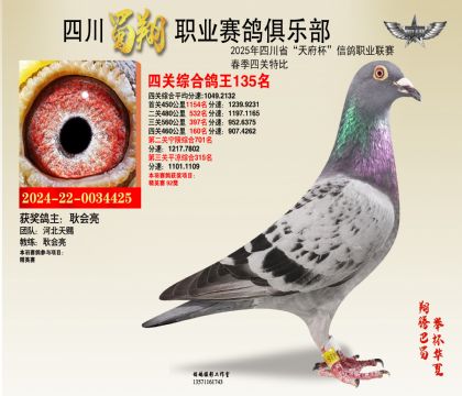 四川蜀翔四關(guān)鴿王135名