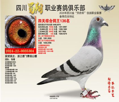 四川蜀翔四關(guān)鴿王136名