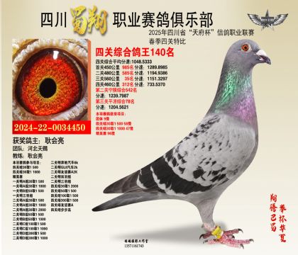 四川蜀翔四關(guān)鴿王140名