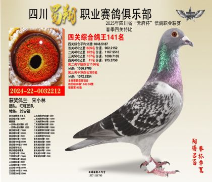 四川蜀翔四關(guān)鴿王141名