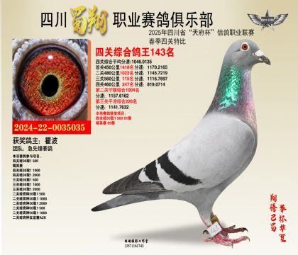 四川蜀翔四關(guān)鴿王143名